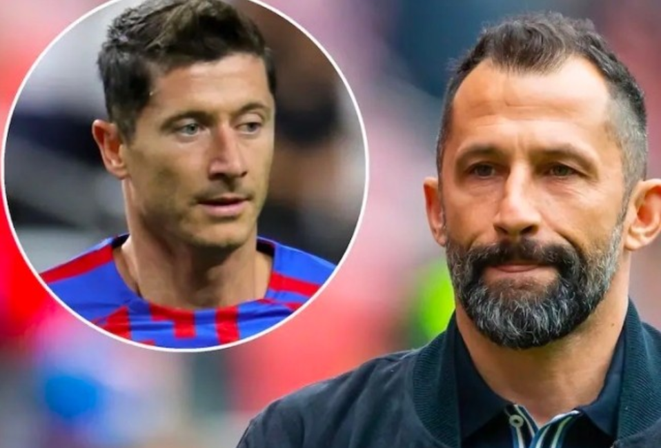 技术全面 技术全面